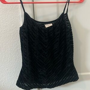 Esprit de corp Cute Velvet See Through Top